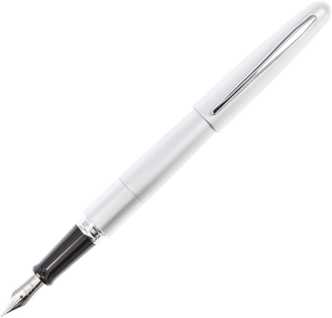 PILOT Metropolitan Collection Fountain Pen, Silver Barrel, Classic Design, Fine Nib, Black Ink (91113)