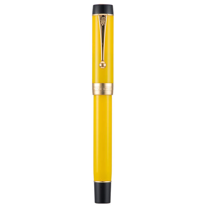 Jinhao 100 Fountain Pen Celluloid Classic Style, #6 Nib Smooth Writing Instrument with Refillable Converter and Pen Case Set