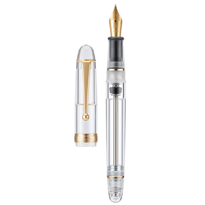 Asvine V126 Vacuum Filling Fountain Pen Fine Point, Brown Swirl Transparent Acrylic Pen Gift Case