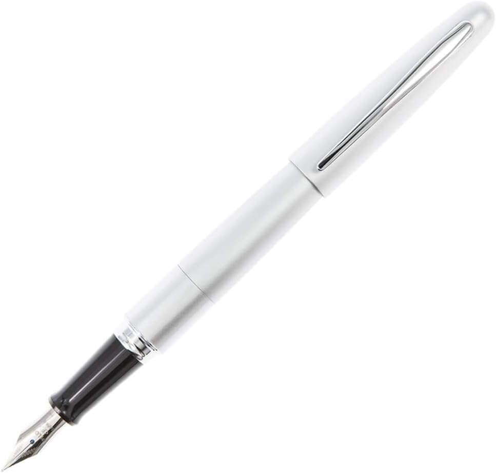 PILOT Metropolitan Collection Fountain Pen, Silver Barrel, Classic Design, Fine Nib, Black Ink (91113)
