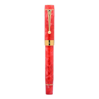 Jinhao 100 Fountain Pen Celluloid Classic Style, #6 Nib Smooth Writing Instrument with Refillable Converter and Pen Case Set