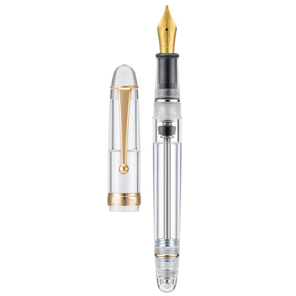 Asvine V126 Vacuum Filling Fountain Pen Fine Point, Brown Swirl Transparent Acrylic Pen Gift Case
