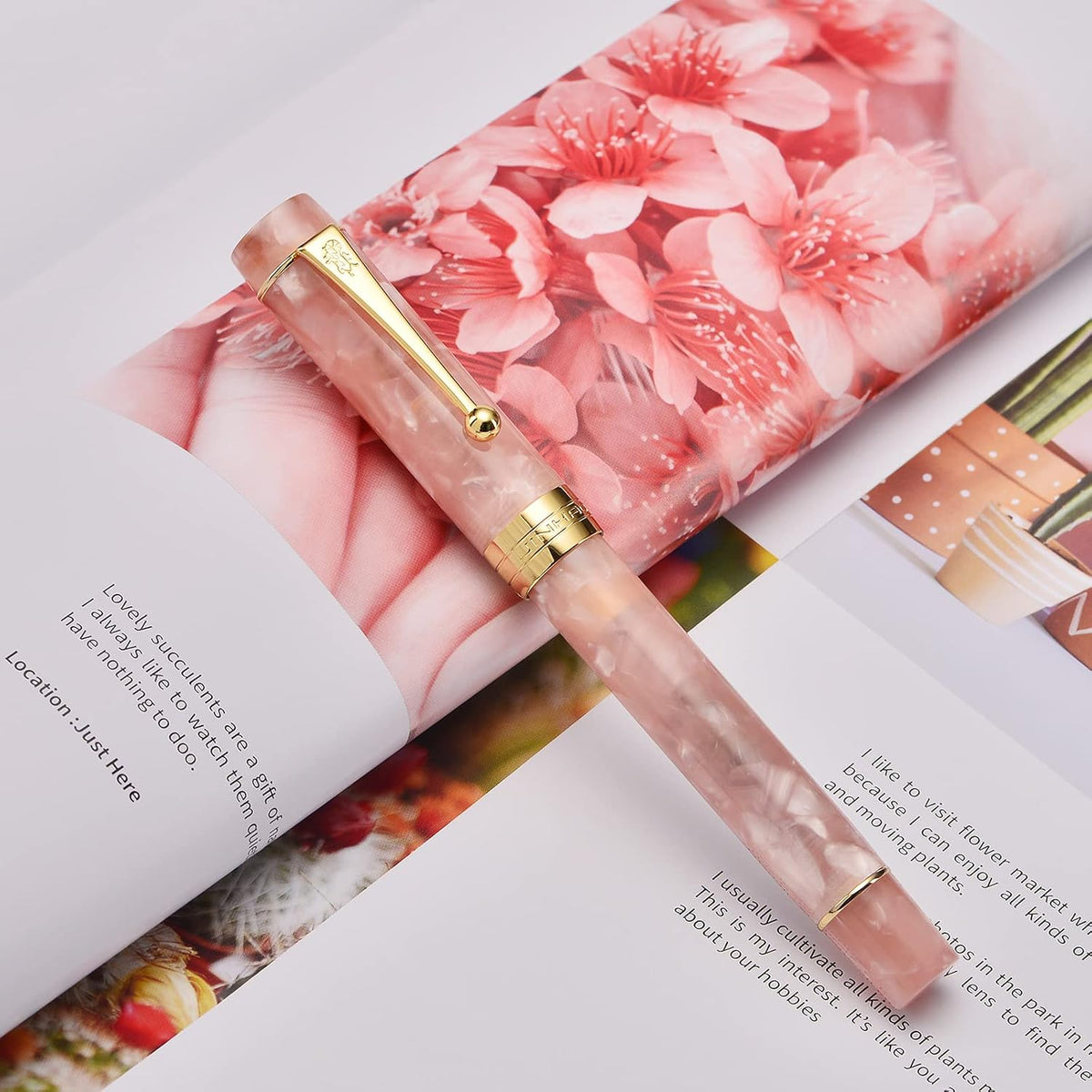 Jinhao 100 Fountain Pen Celluloid Classic Style, #6 Nib Smooth Writing Instrument with Refillable Converter and Pen Case Set