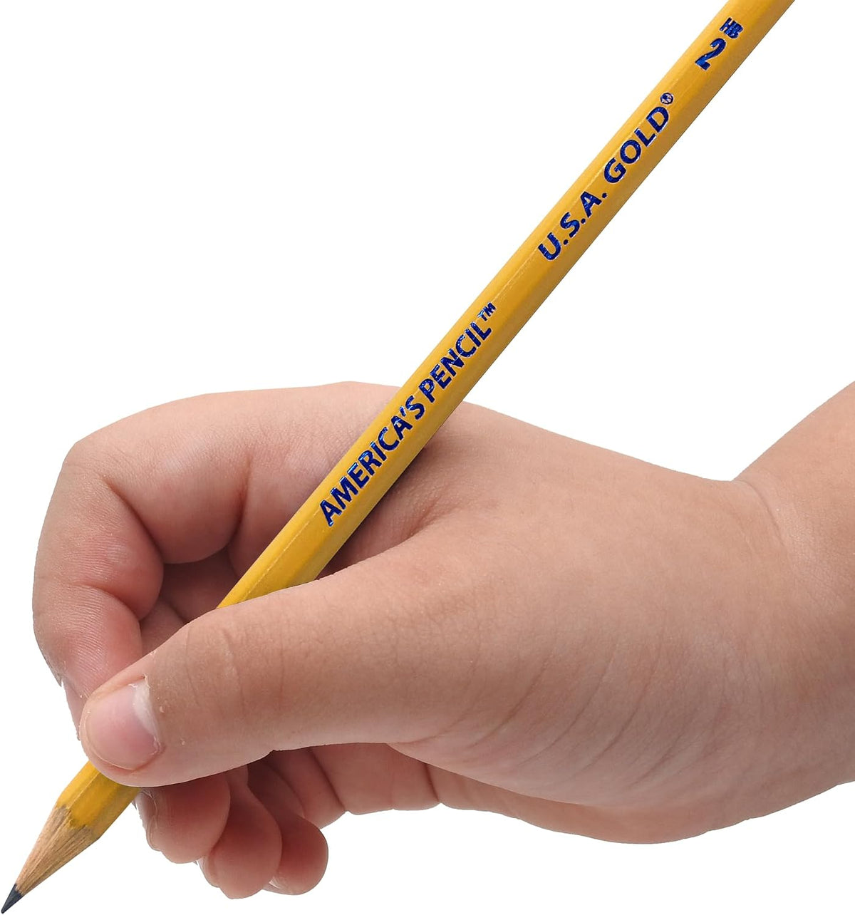 Write Dudes USA Gold Premium Cedar No. 2 Pre-Sharpened Pencils 12-Count (DDR56)