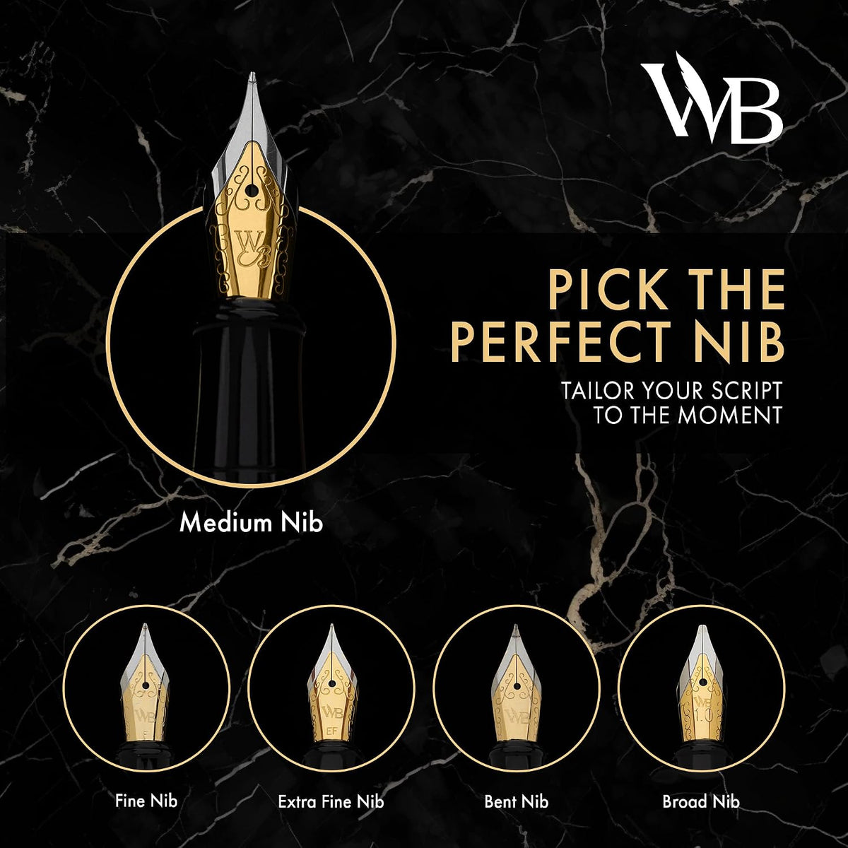 Wordsworth & Black Luxury Fountain Pen Set for Writing, Medium Nib, Black